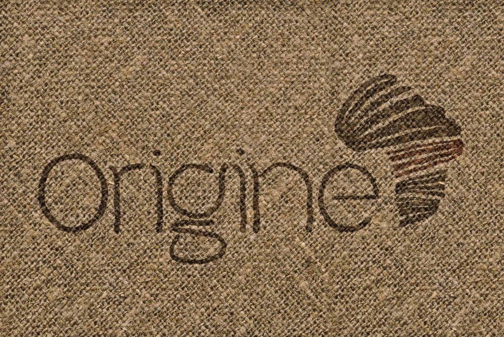 origine-5small