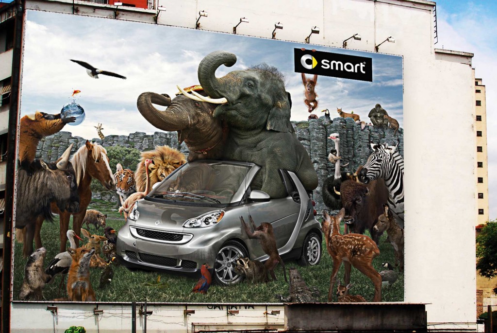 Smart-02bis-big